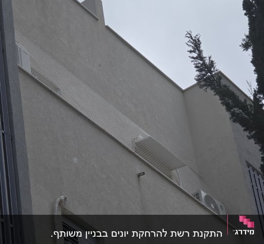 רשת למניעת כניסת יונים על קיר בניין